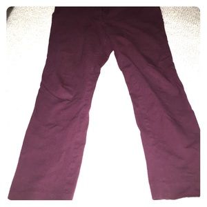 LOFT Merlot Dress Pant
